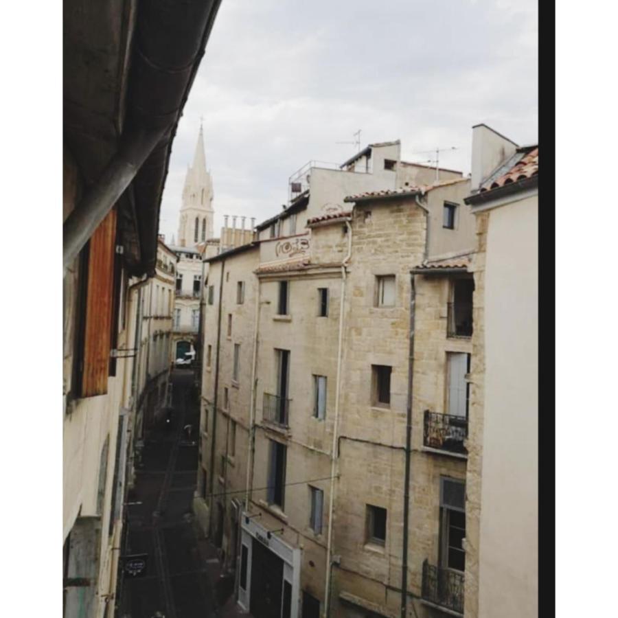 Appartement Cosy Au Coeur De モンペリエ エクステリア 写真